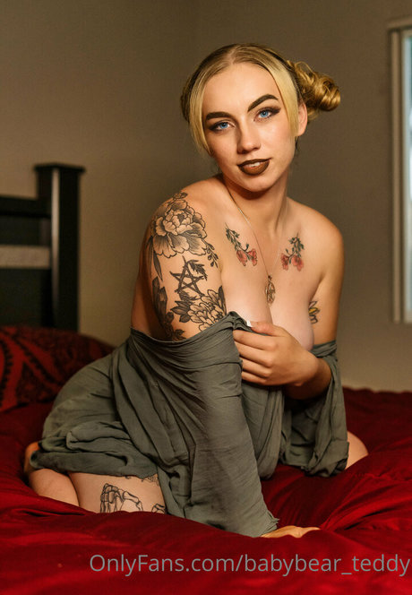 babybear teddy heiße freie fotos