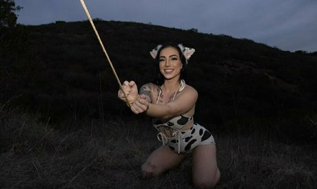 babybear teddy heiße kostenlose galerien