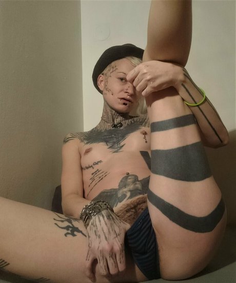 jokers free beste hd archiv