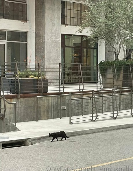 littleminxbella erotische nackte fotos