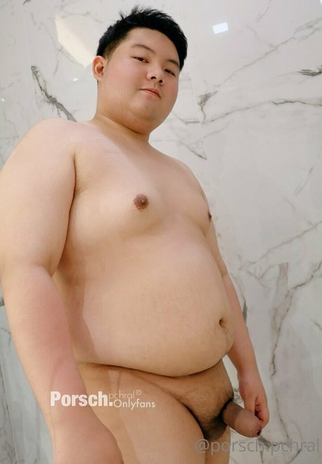porsch pchral pornografische galerie