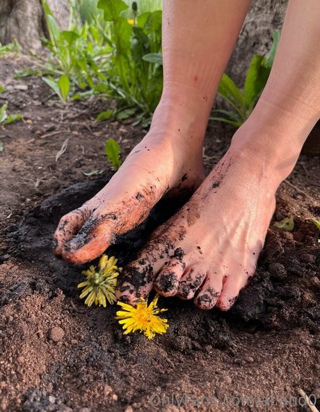 ai and0 kunst nette galerie