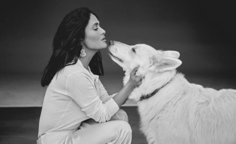 schwarze papa-onlyfans porno beste bild