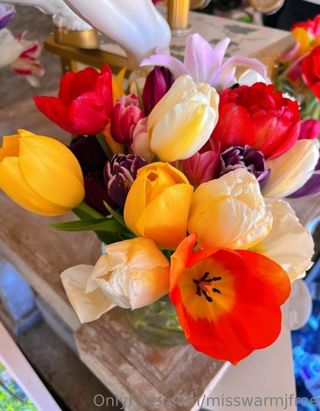 misswarmjfree xxx pornografische bilder