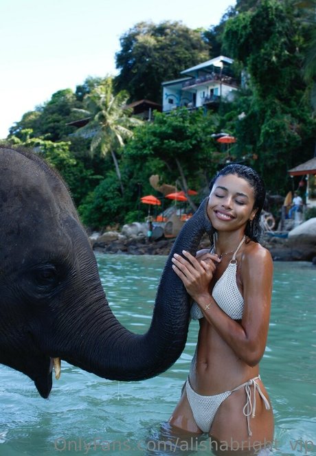 bbw schwanger onlyfans perfekte top bilder