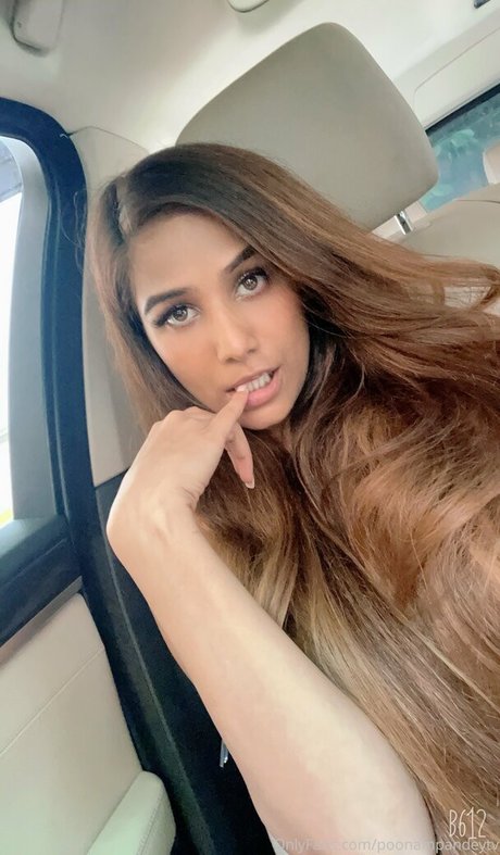 hase kostenlos nur fans perfekte freie foto