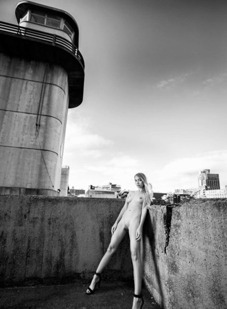 Riley Anne porno kunst galerie