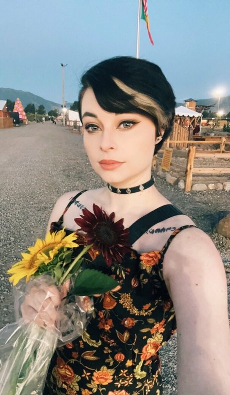 Harliantihero kunst top foto