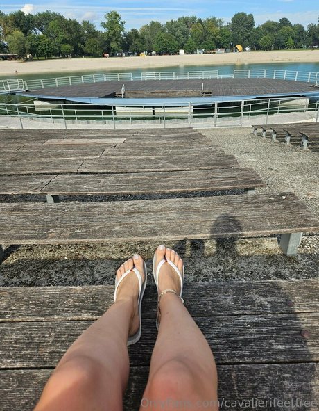 cavalierifeetfree nacktheit pornographische galerien