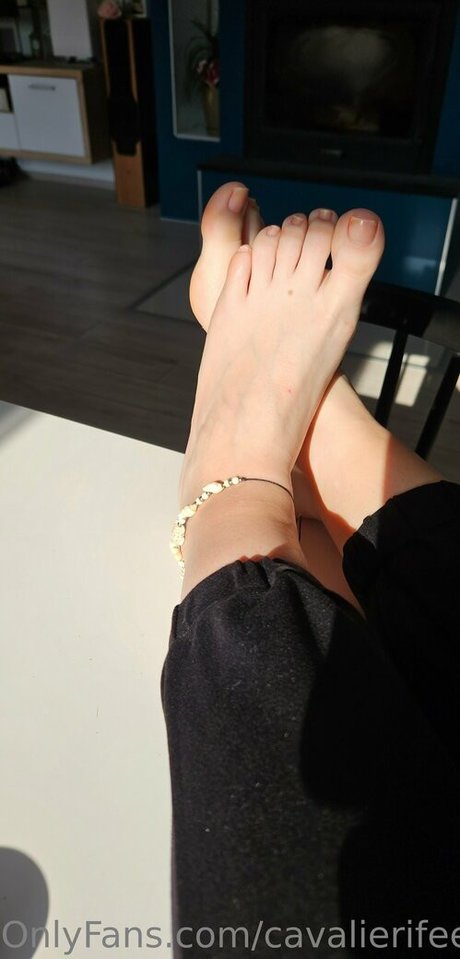 cavalierifeetfree nackt galerien