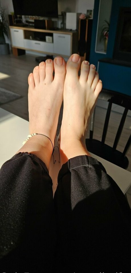 cavalierifeetfree hübsche freie bilder