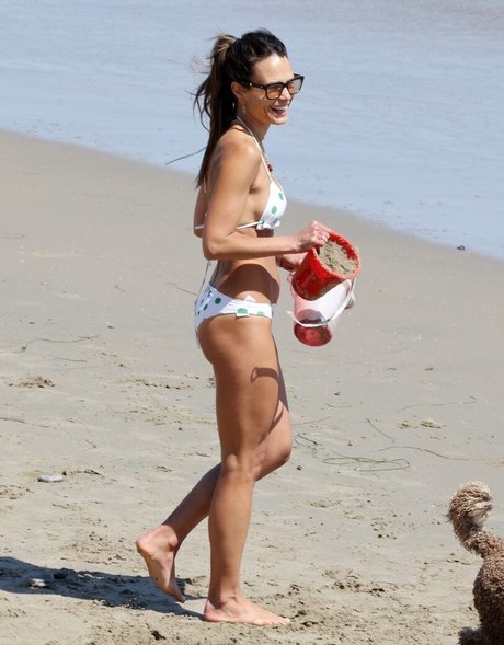 Jordana Brewster sex bild