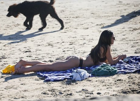 Jordana Brewster pornostar erwachsene bild