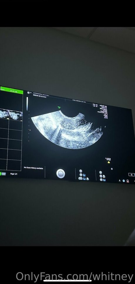 whitney heiße nacktheit bilder