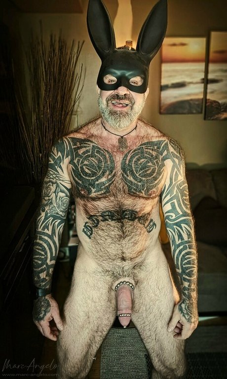 marcangeloxxx heiße pornostar galerie