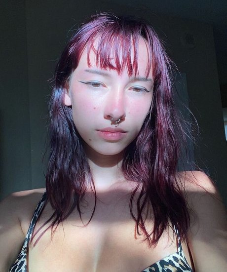 sonyapaints kunst beste galerien