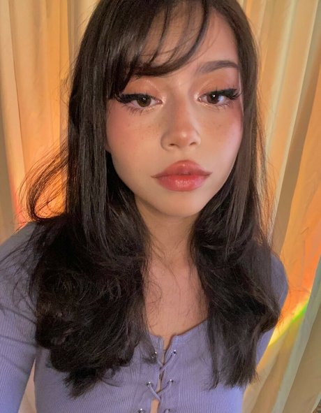 Daisyrot perfekte hd fotos