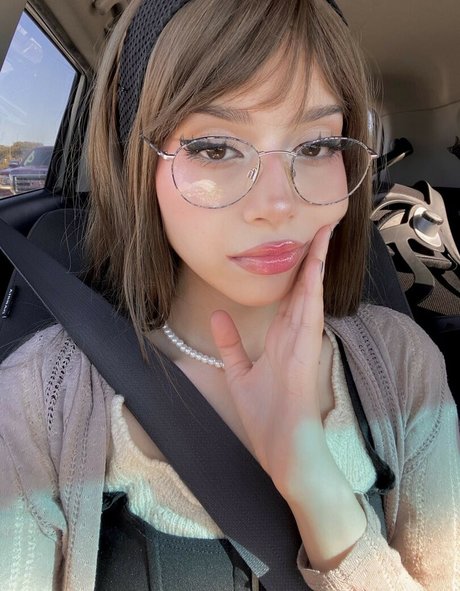 Daisyrot beste heiße bilder