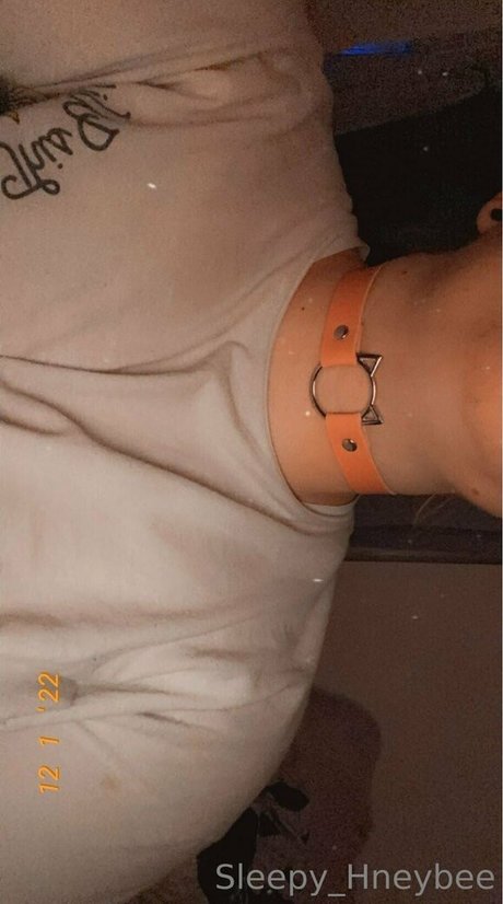 sleepy hneybee hd hübsche galerie