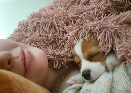 ebenholz raucht nur fans schöne kunst galerie