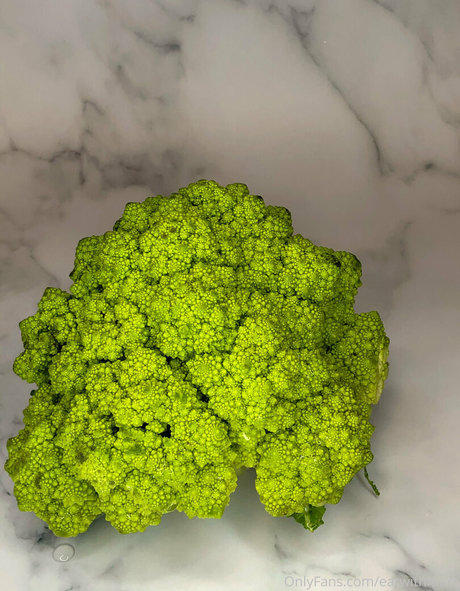 Eatwithmars beste top bild