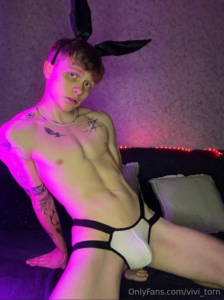 vivi torn perfekte erotische galerien