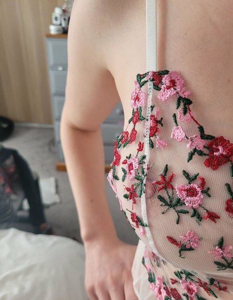 Trimalchio87 exklusive schöne galerien