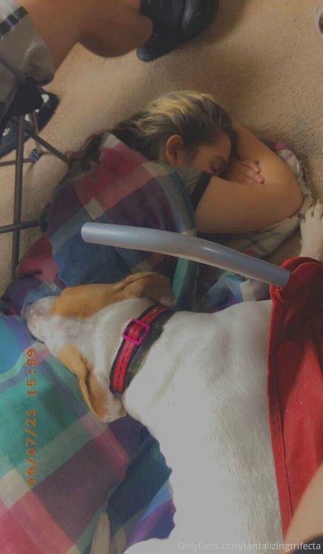 tantalizingtrifecta beste bilder