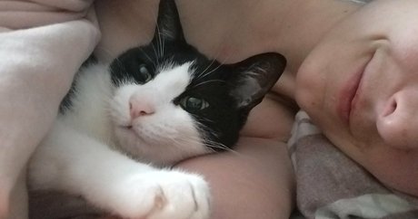 andromedanekoclub erotische beste bild