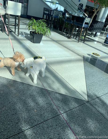 schwul oral onlyfans beste freie bild