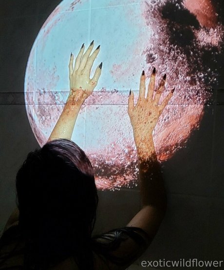 Exoticwildflower model schöne galerie