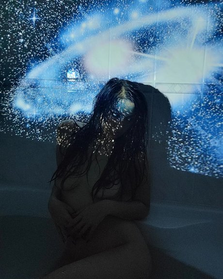 Exoticwildflower schöne hd foto