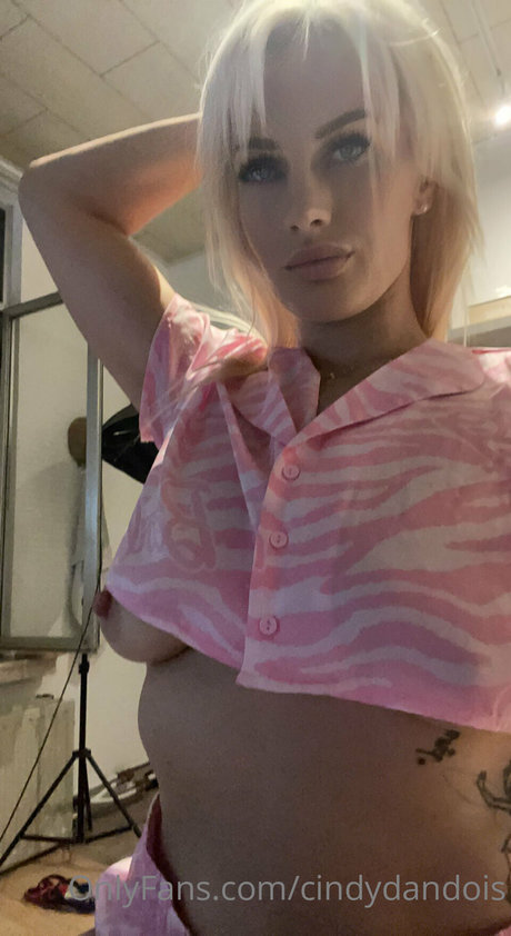 cindy dandois kunst erwachsene bilder