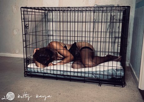 kitty kaya freie kunst galerie