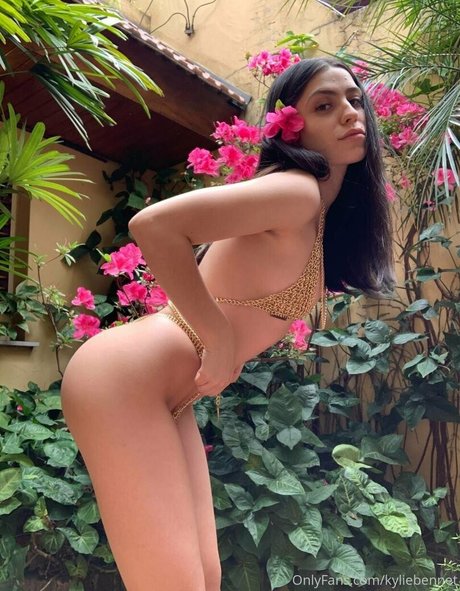 muskel-trans-onlyfans exklusive schöne archiv