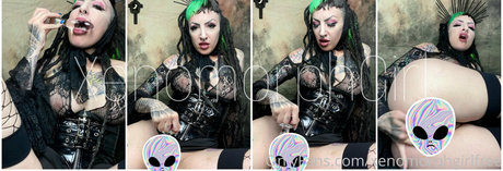 elfspitfree freie hd bild