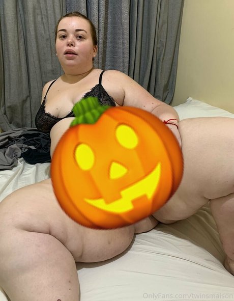 twinsmaison model galerien