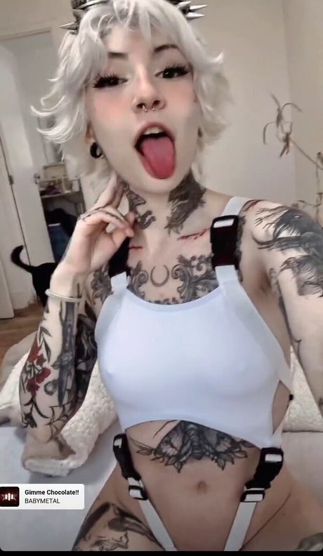 Aline Fox beste galerie