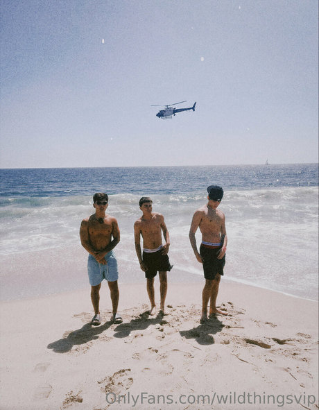 wildthingsvip perfekte pornostar bild