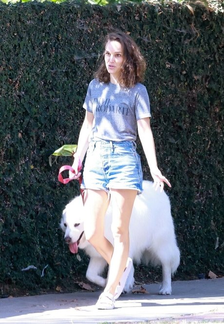 fansly onlyfans kunst nette galerien