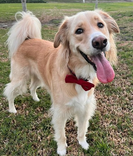 official antonellakahllo beste hd archiv