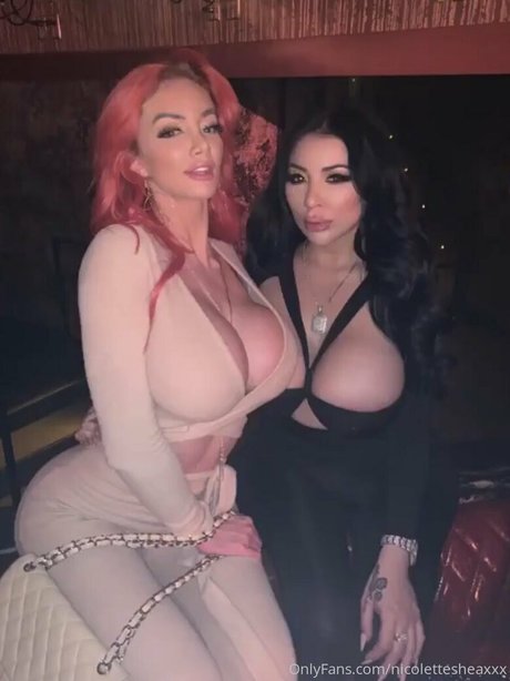 nicolettesheasquad perfekte top bild