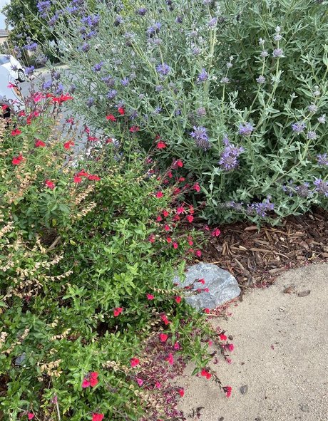 baby nackt onlyfans schöne porno fotos