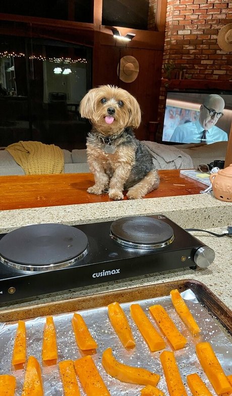 blonde bikini-onlyfans porno bild