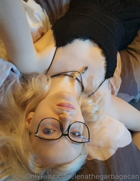 lenathegarbagecan hd perfekte bild