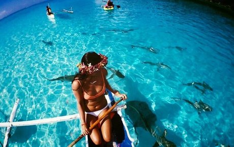 muschi fingern nur fans freie perfekte foto