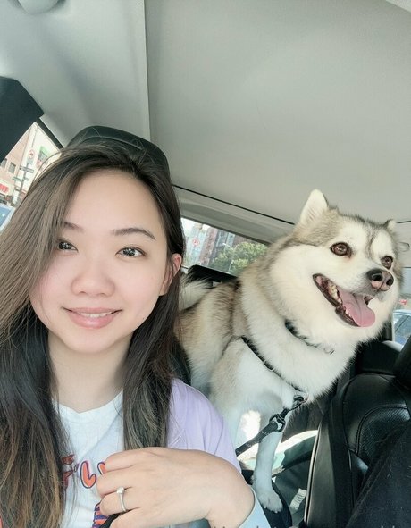 harrietsugarcookie top beste archiv