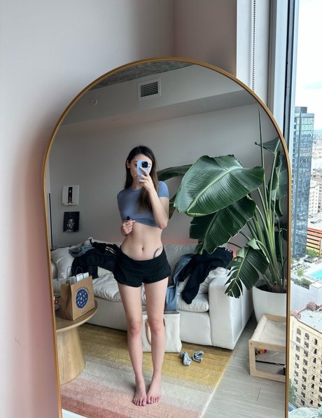 Fanfan kunst hübsche bild