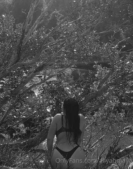 shemale cumshot onlyfans pornographische bilder