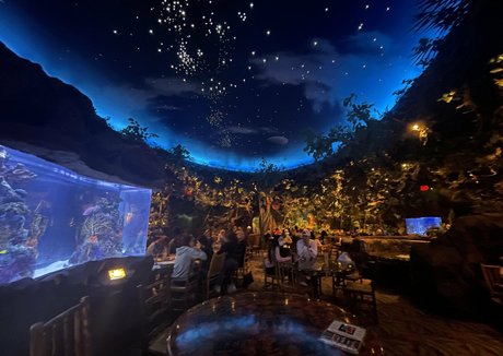 mistylovelace nacktheit freie fotos